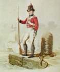 Royal Marine 1815